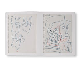 PICASSO: 14 SKETCHBOOKS